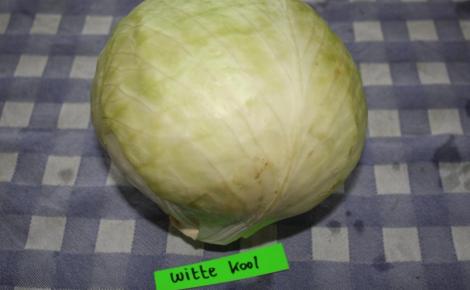 Lensink Aardappelen Aalten | Witte kool